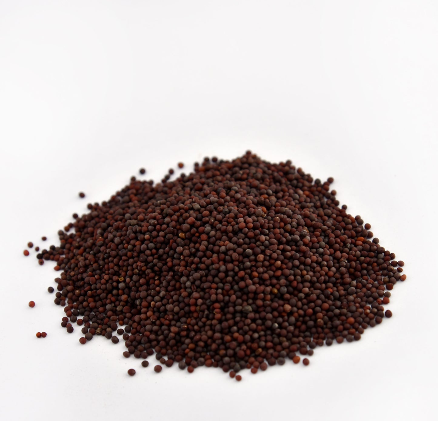 Mustard Seeds