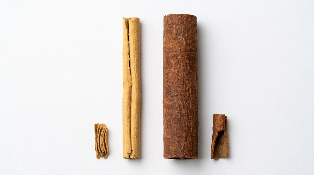  product comparison photography, shot on white seamless paper background with even soft-box lighting from above. Two cinnamon sticks placed parallel on the surface, touching near the center. 