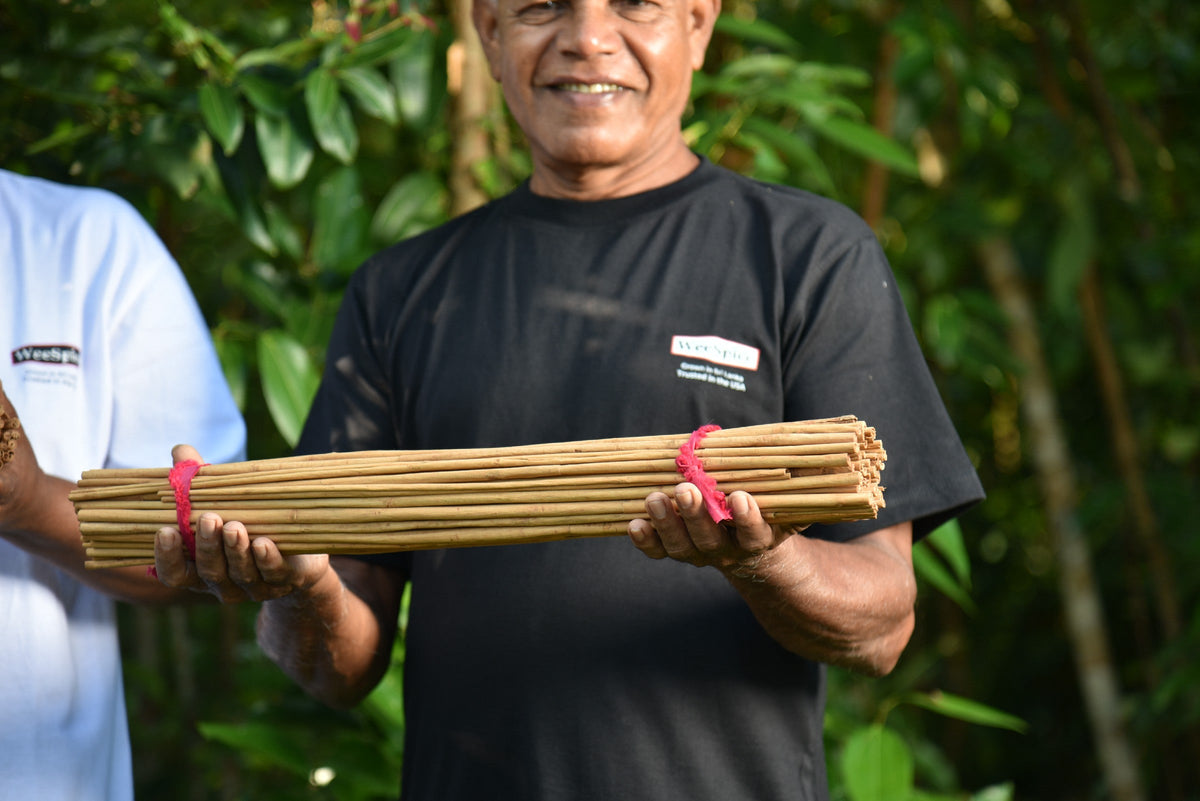 What Is Alba Ceylon Cinnamon? The Rarest Grade of True Cinnamon, Explained