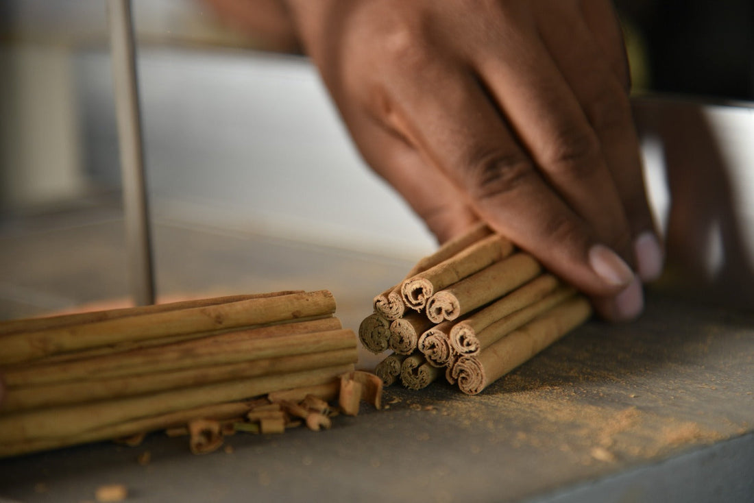 Close-up of a person's hand precisely cutting a bundle of thin, multi-layered Alba Ceylon cinnamon quills, showing the delicate inner filling and golden-brown texture